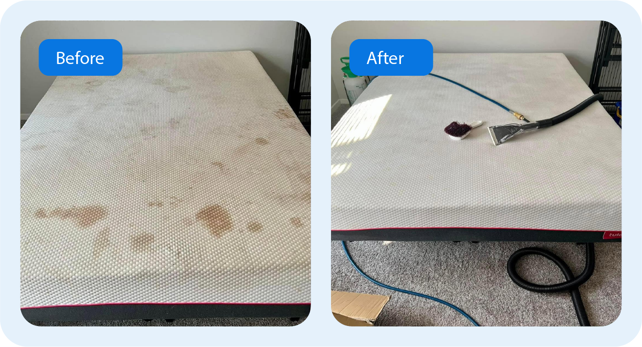 Before After Cleaning