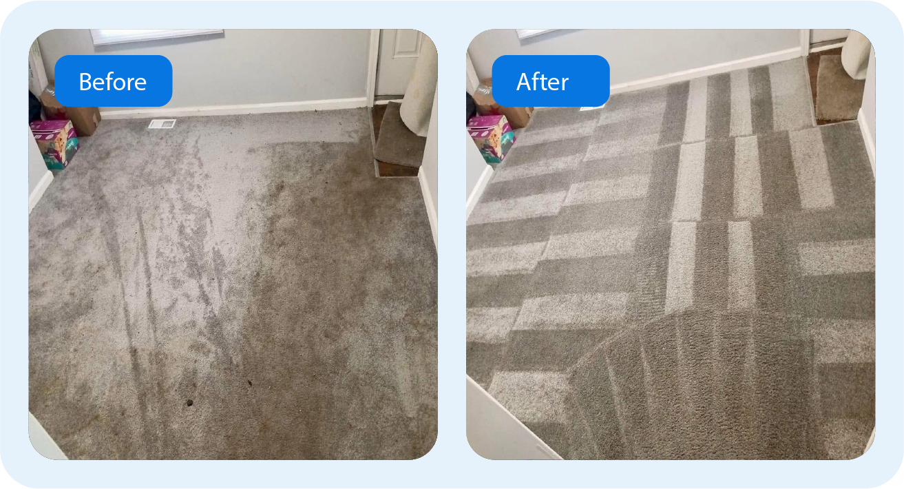 Before After Cleaning