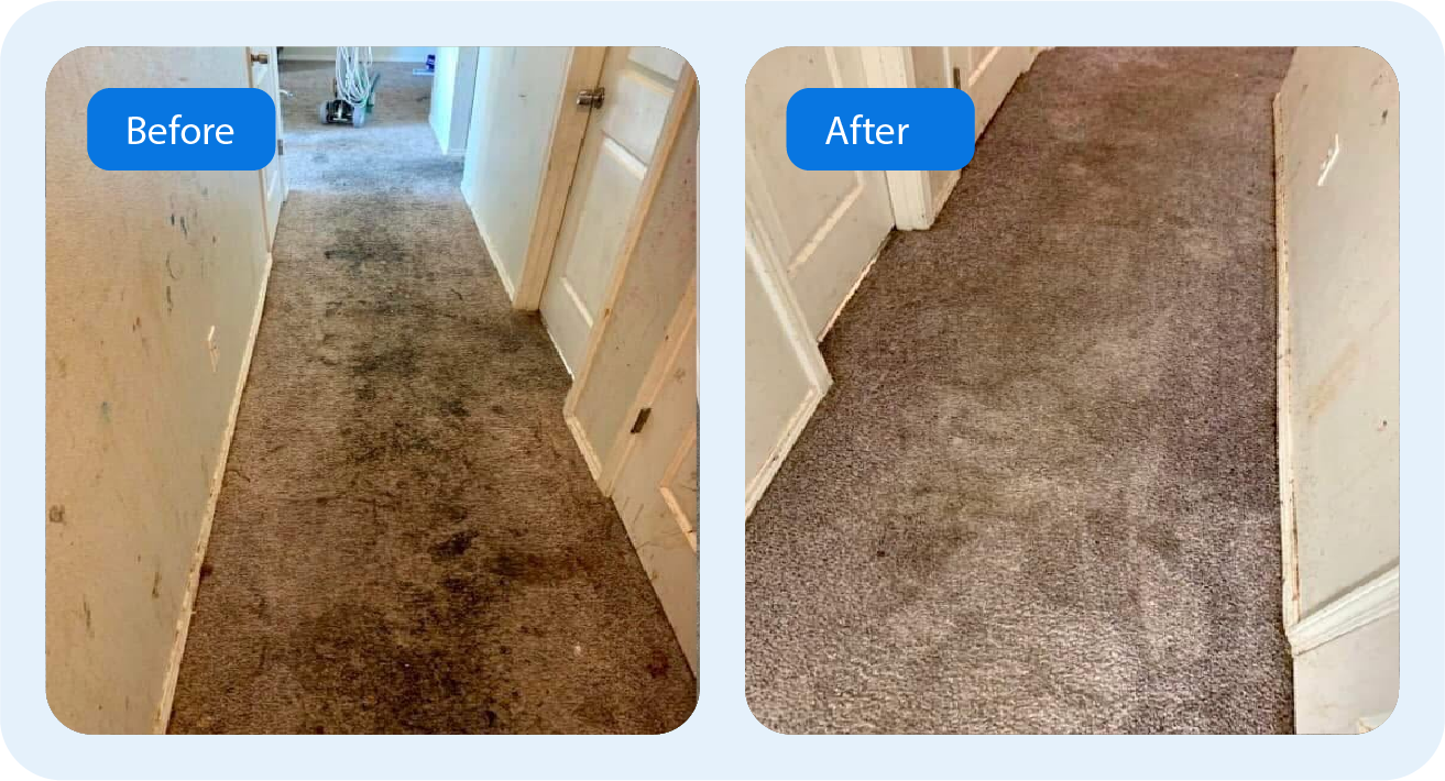 Before After Cleaning